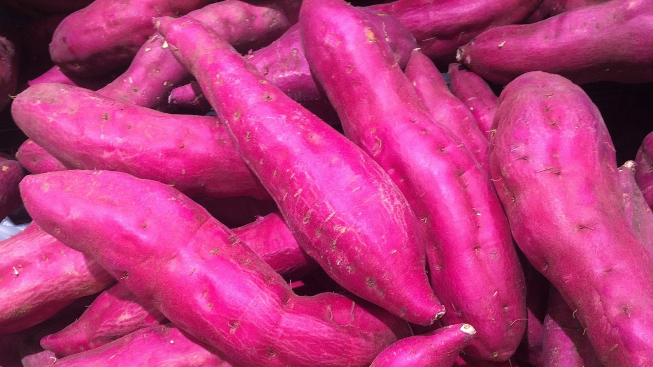 batata_doce_beneficios